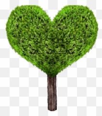 Green Png And Vectors For Free Download - Tree Heart Emoji