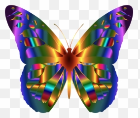 Transparent Moth Iridescent Transparent U0026 Png Clipart Free - Colorful Butterfly Wing Clipart Emoji,Zzz Ant Ladybug Ant Emoji
