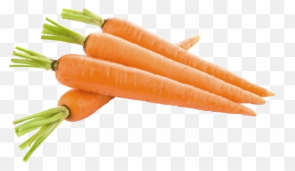 Free Carrot Transparent Background Download Free Clip Art - Transparent Background Carrot Clipart Png Emoji,Carrot Emoji