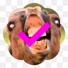 Custom Emoji List For Jorts - Steller Sea Lion,Gynecologist Emoji