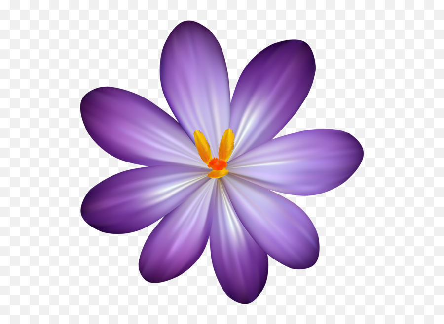 Orchid Clipart Lilac Orchid Lilac - Crocus Clipart Emoji,Orchid Emoji