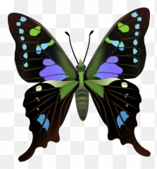 Picture Emoji,Butterfly Emoji