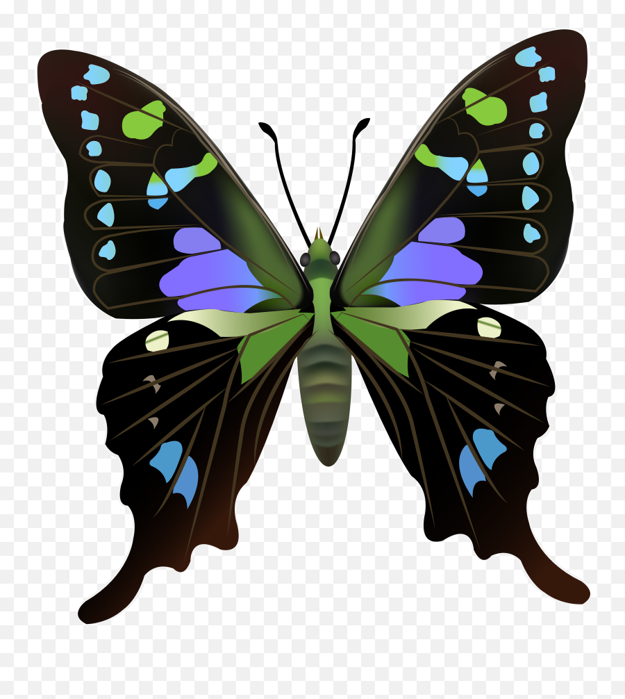 Picture Emoji,Butterfly Emoji