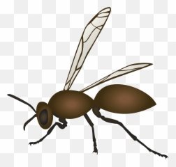 Science A Formula For Success Agmoji Cool Science - Carpenter Ant Emoji,Ant Emoji