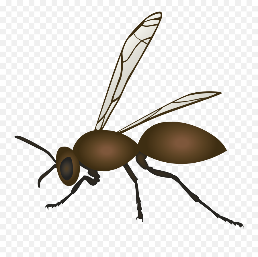 Science A Formula For Success Agmoji Cool Science - Carpenter Ant Emoji,Ant Emoji