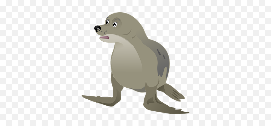 2000 Free Grey U0026 Background Illustrations - Pixabay Sea Dog Png Emoji,Otter Emoji