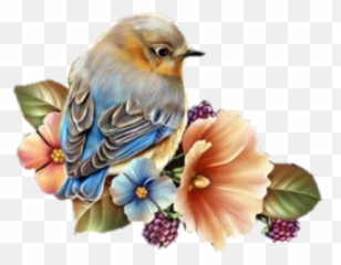 Barnali Bagchi Fonds Et Tubes Bird Drawings Bird - Wallpaper Emoji,Bluebird Emoji