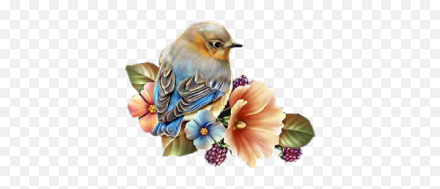 Barnali Bagchi Fonds Et Tubes Bird Drawings Bird - Wallpaper Emoji,Bluebird Emoji