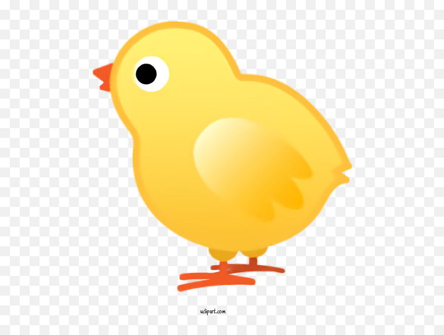 Holidays Yellow Cartoon Bird For Easter - Easter Clipart Pollo Gif Png Emoji,Easter Emoji