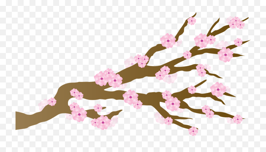Cherry Blossom Blossoms Japanese Branch - Sakura Blossom Tree Cartoon Emoji,Sakura Blossom Emoji