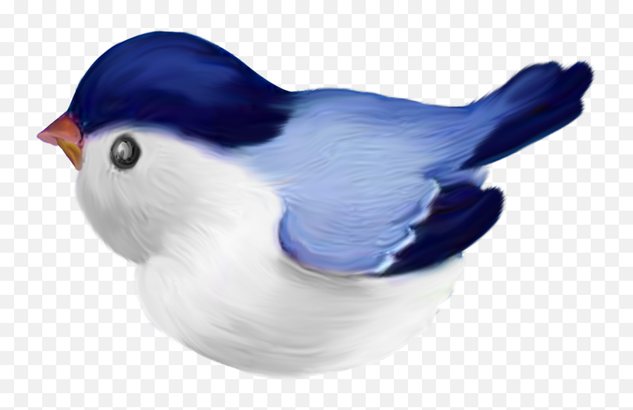 Bird Clipart - Penguin Emoji,Cardinal Bird Emoji