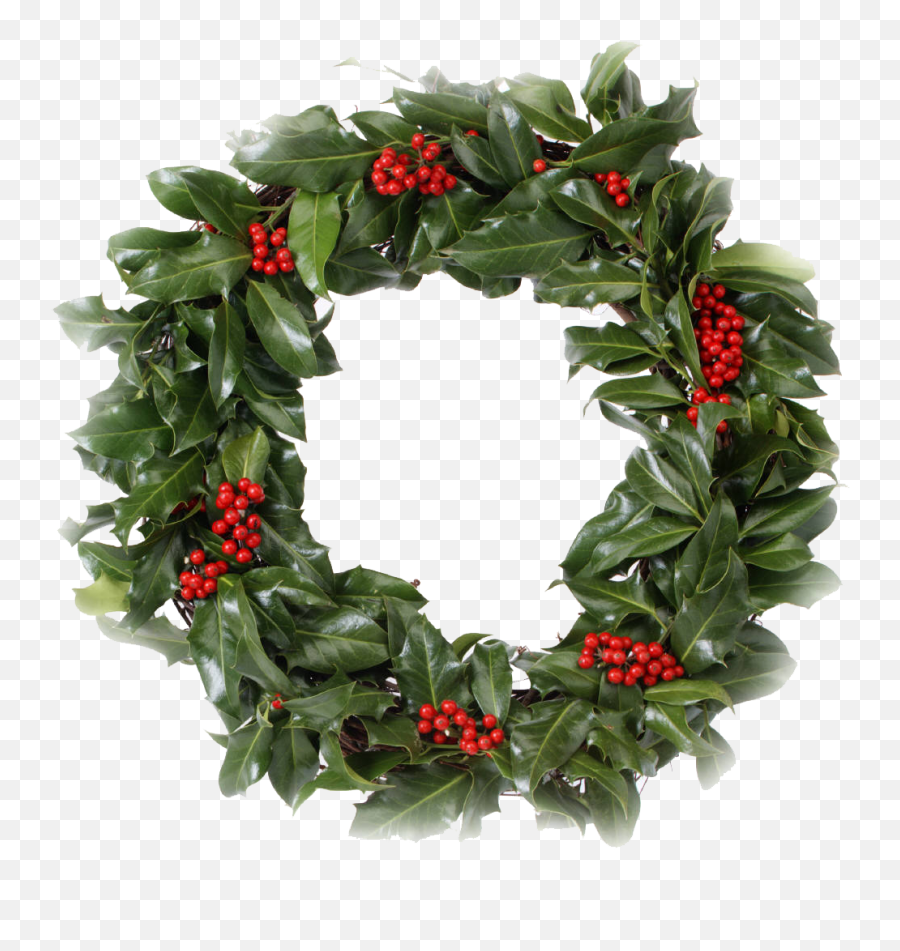 Christmas Wreath - Real Wreath Png Transparent Emoji,Christmas Wreath Emoji
