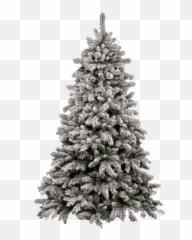 Search Results For Bonsai Trees Png - 6ft Pre Lit Snowy Christmas Emoji