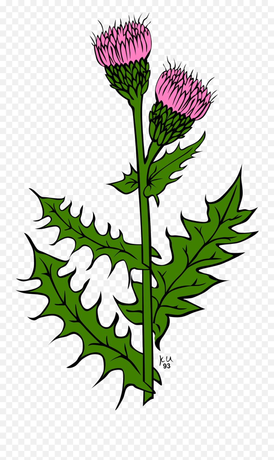 Clip Art Image - Thistle Scotland Emoji,Weed Plant Emoji