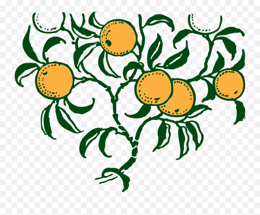Free Fruit Tree Fruit Vectors - Orange Tree Vector Art Emoji,Pineapple Emoticon