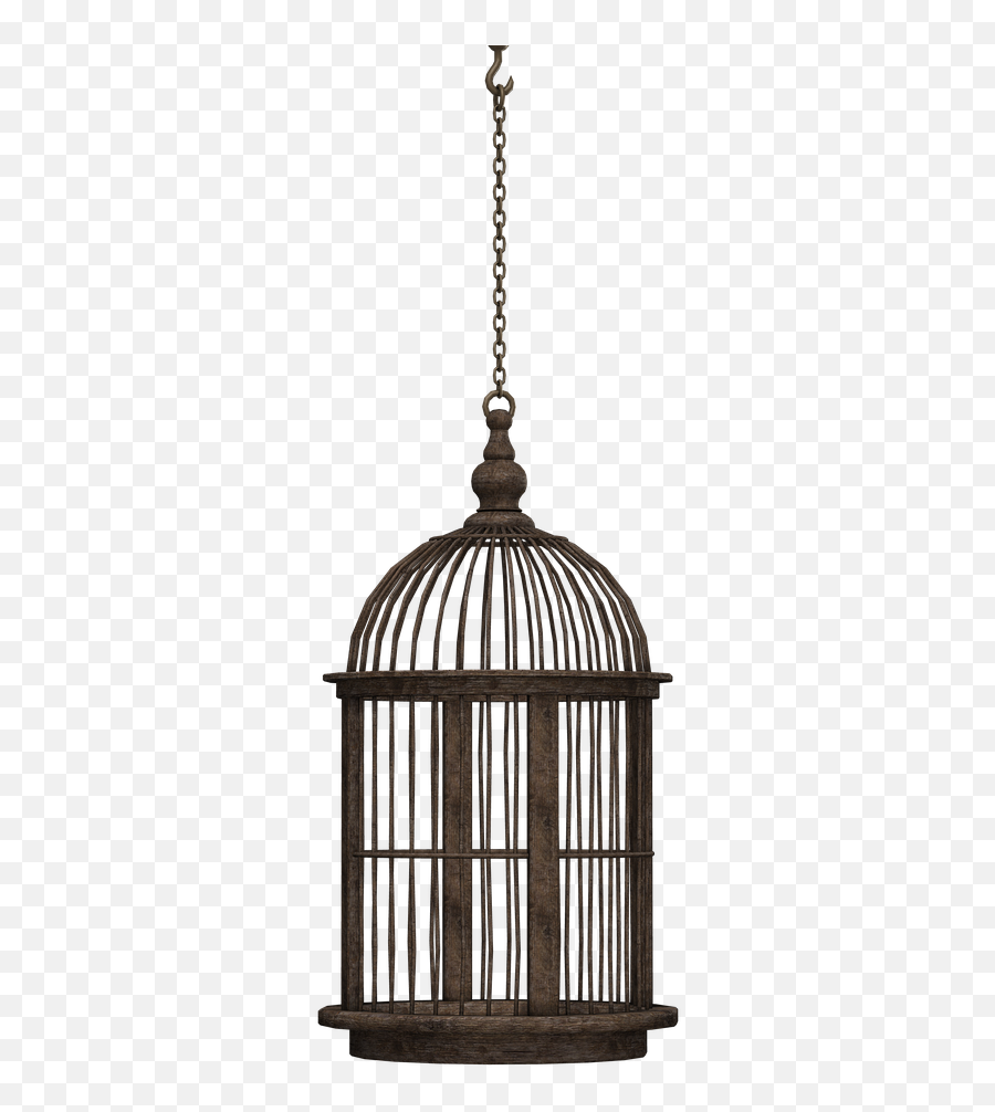 Cage Bird Cage Closed Container Braid - Black Hanging Bird Cage Emoji,Jail Cell Emoji