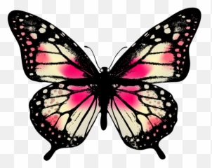 Monarch Butterfly Clipart Emoji 22 - Real Life Symmetrical Butterflies,Butterfly Emoji