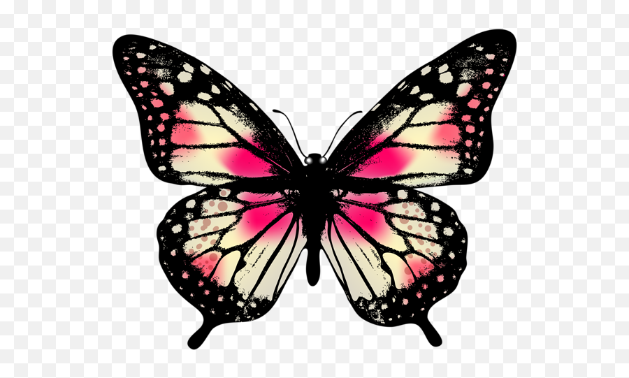 Monarch Butterfly Clipart Emoji 22 - Real Life Symmetrical Butterflies,Butterfly Emoji