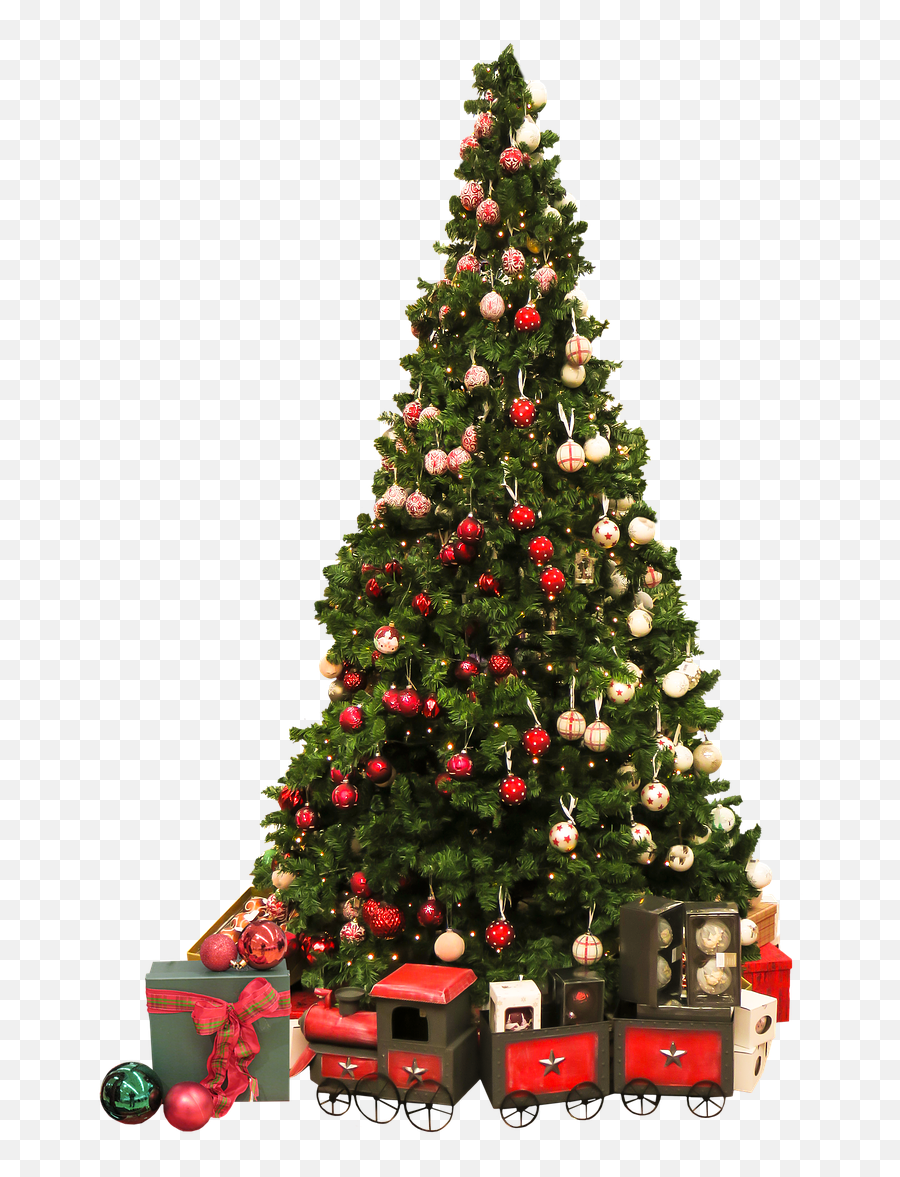 Christmas Christmas Tree Christmas Ornaments Christmas - Real Christmas Tree Transparent Background Emoji,Emoji Christmas Ornaments