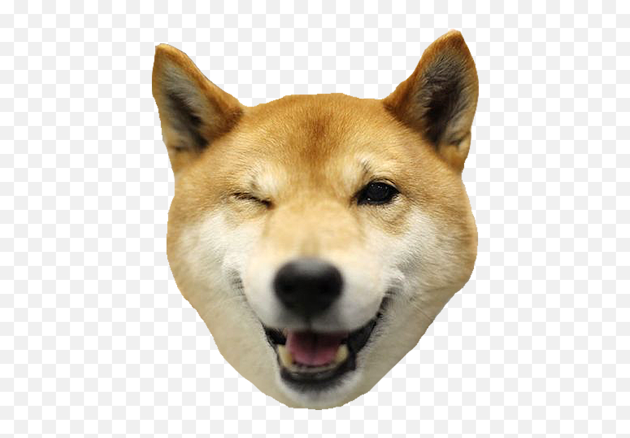 Shiba Dogs Head - Stickers Whatsapp De Perros Emoji,Doge Emoticon