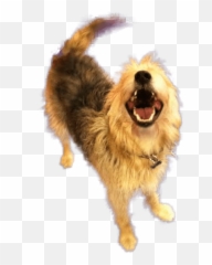 Laughing Dog Png Image - Companion Emoji