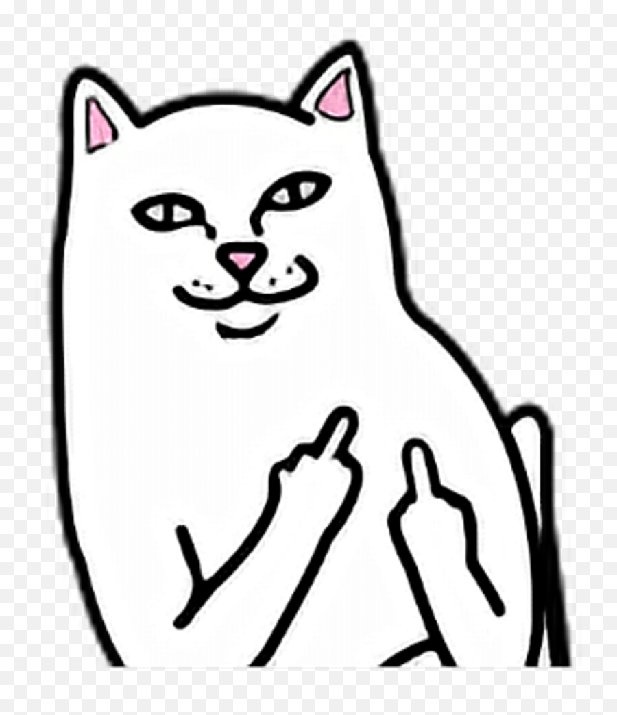 Cat White Fuck You Off Fuckyou Fuckoff - Portable Network Graphics Emoji,Bongo Cat Emoji