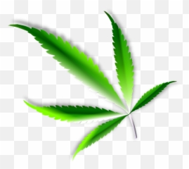Leaf Marijuana - Transparent Small Weed Leaf Emoji,Four Leaf Clover Emoji