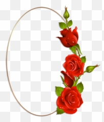 Hawker Centre Clipart Flower - Oval Flower Frame Png Emoji,Amish Emoji