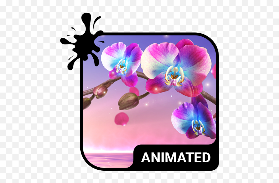 Animated Keyboard Live Wallpaper - Motocross Animated Emoji,Orchid Emoji
