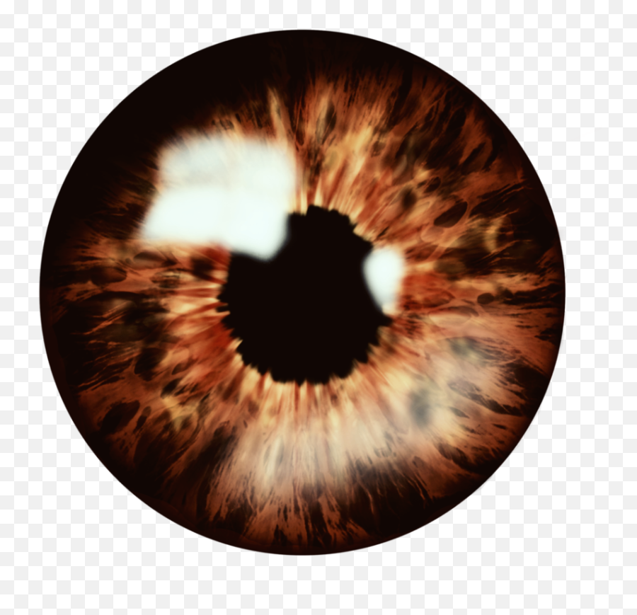 Brown Eye Eyes Browneye Browneyes - Picsart Eye Lens Png Emoji,What Is The Brown Emoji With Eyes