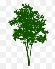 Small Tree Symbol - Small Tree Png Silhouette Emoji,Palm Tree Emojis
