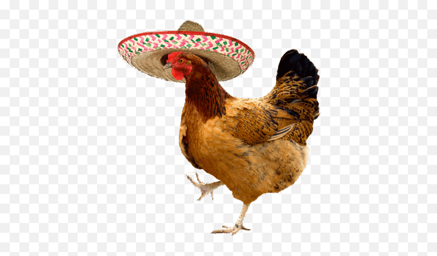 Top Chicken Leg Stickers For Android Ios - Chicken With Sombrero Emoji,Chicken Leg Emoji