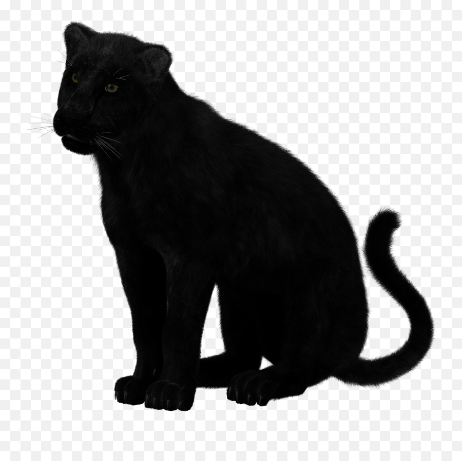 Panther Clipart Free Download Transparent Png Creazilla - Clip Art Emoji,Cougar Emoji