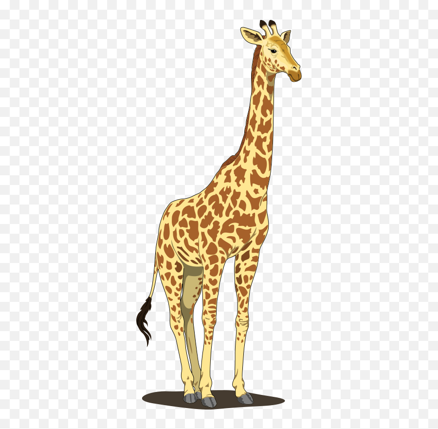 Clipart Giraffe Clipart Giraffe Transparent Free For - Giraffe Clipart Emoji,Giraffeemoji.com