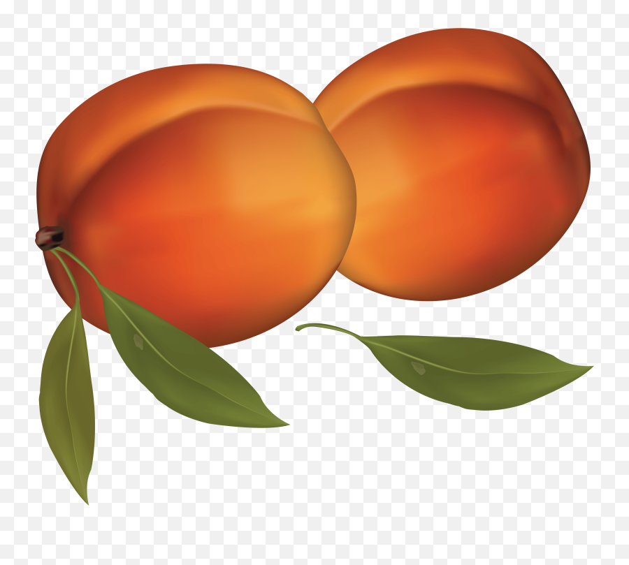 Download Peach Png Image Hq Png Image - Peaches Printable Emoji,Peach Emoji Transparent Background