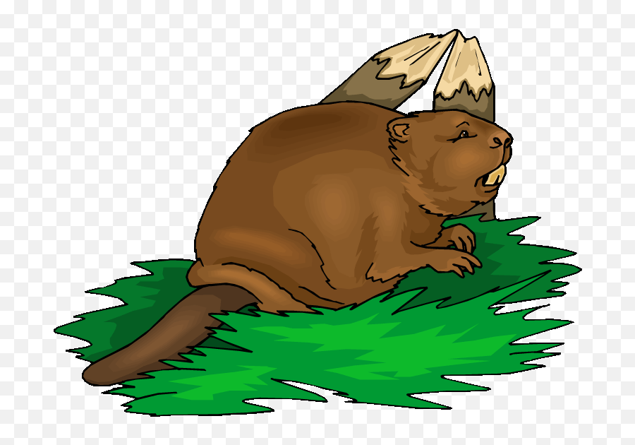 Beaver Clipart Beaver Lodge Beaver Beaver Lodge Transparent - Clipart Beaver Emoji,Beaver Emoji