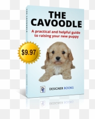 Poodle Clip Maltese Picture - Emoji
