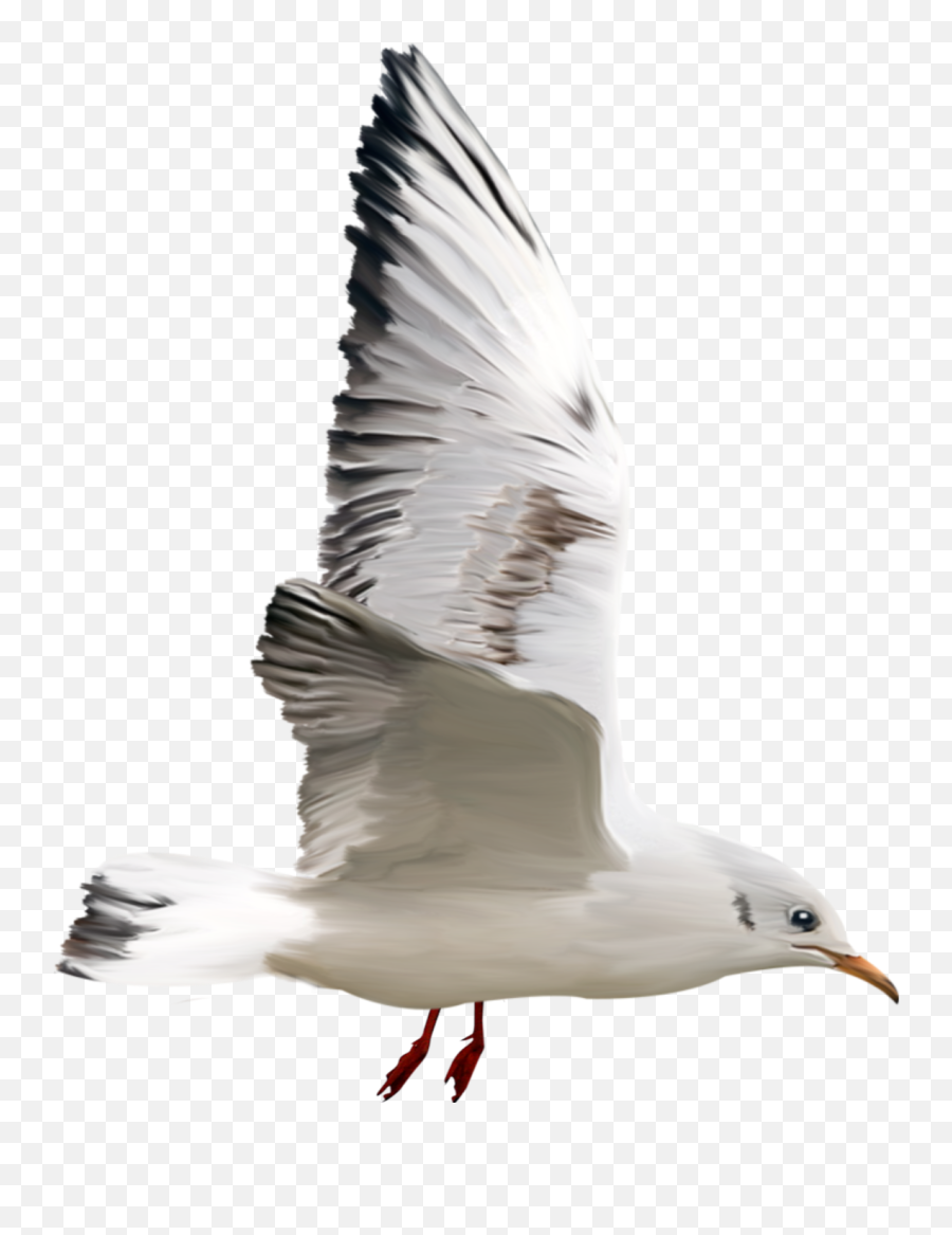 Bird Seagull Painted Freetoedit - European Herring Gull Emoji,Seagull Emoji
