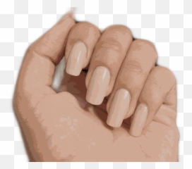 Hand Arm Fist Love Hold Aesthetic Grab Nails Freetoedit - Hand Emoji,Brown Fist Emoji