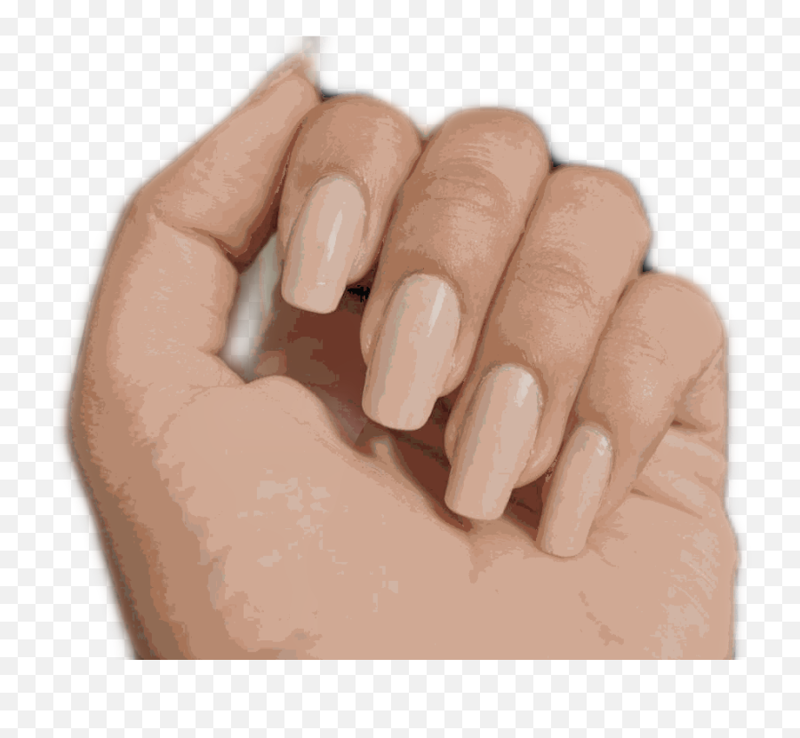 Hand Arm Fist Love Hold Aesthetic Grab Nails Freetoedit - Hand Emoji,Brown Fist Emoji