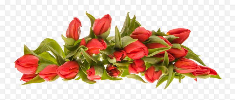 Bokeh Of Flowers Png Clipart - Flower Bunch Png Emoji,Boquet Emoji