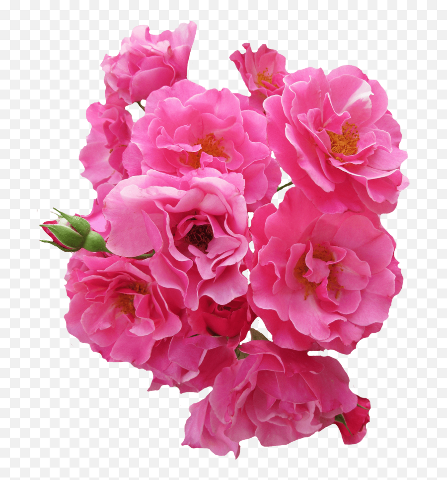 Png Bunch - Pink Flowers Png Emoji,Bouquet Of Flowers Emoji