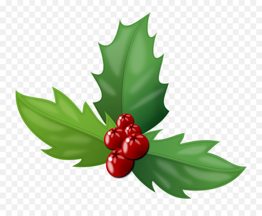 Holly Berries Leaves - Holly Berries Transparent Emoji,Four Leaf Clover Emoji
