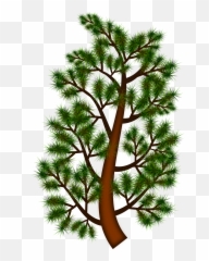 Pine Branch Vector Clipart Image - Art Emoji