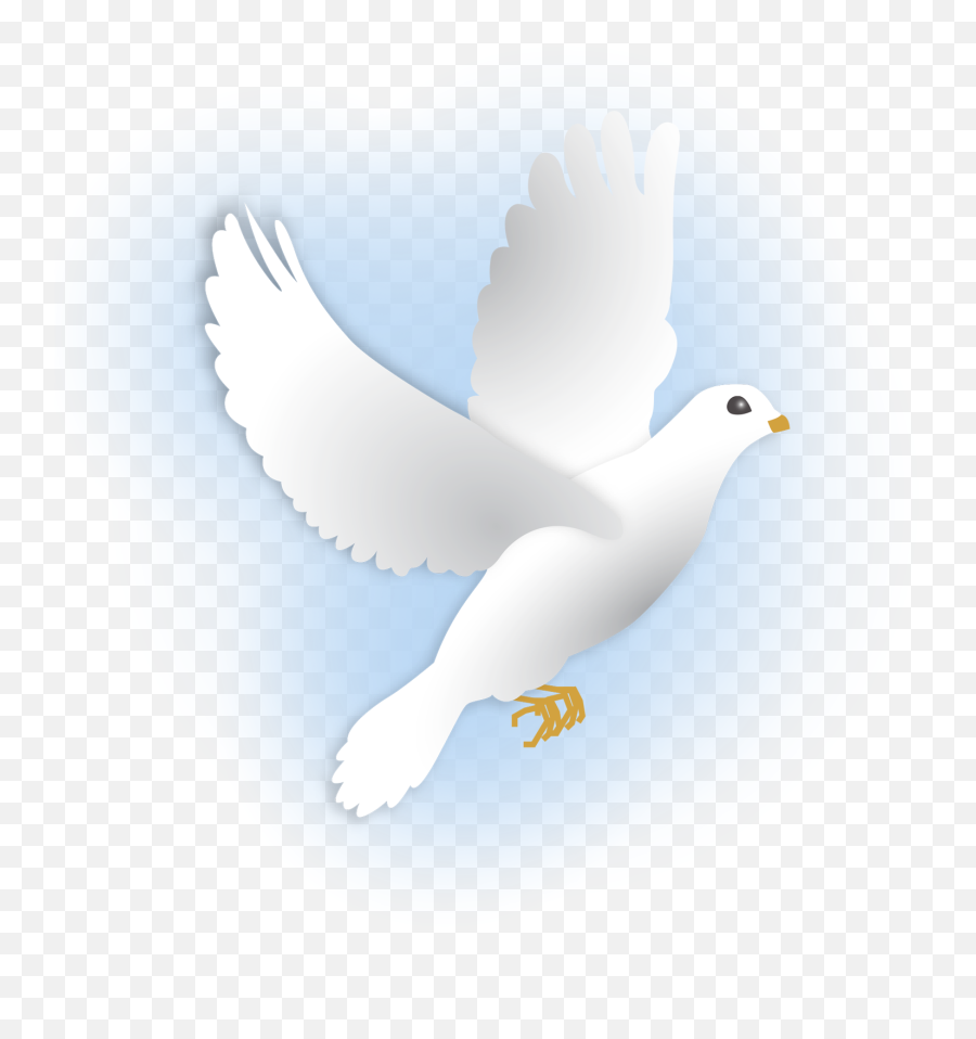 William J - White Birds Images Beautiful Emoji,Dove Of Peace Emoji