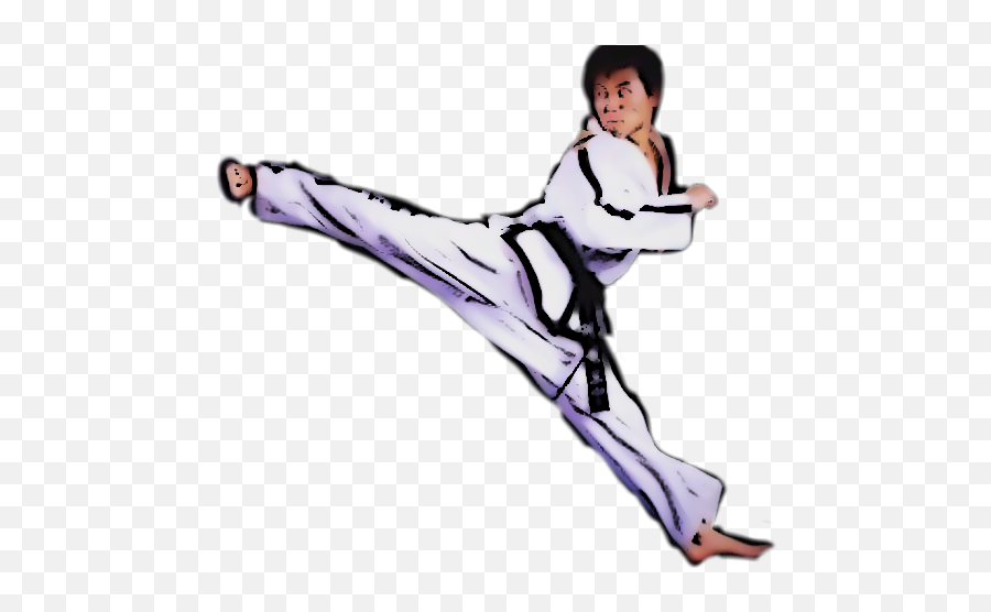 Taekwondo Martialartist Jumpsidekick Kick Koreanstyle - Taekwondo Emoji,Taekwondo Emoji