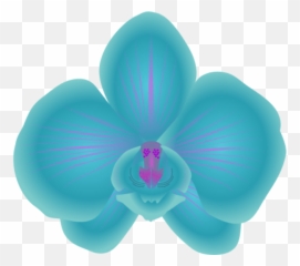 Orchid Clipart Cartoon Orchid Cartoon - Orchid Clipart Emoji,Orchid Emoji