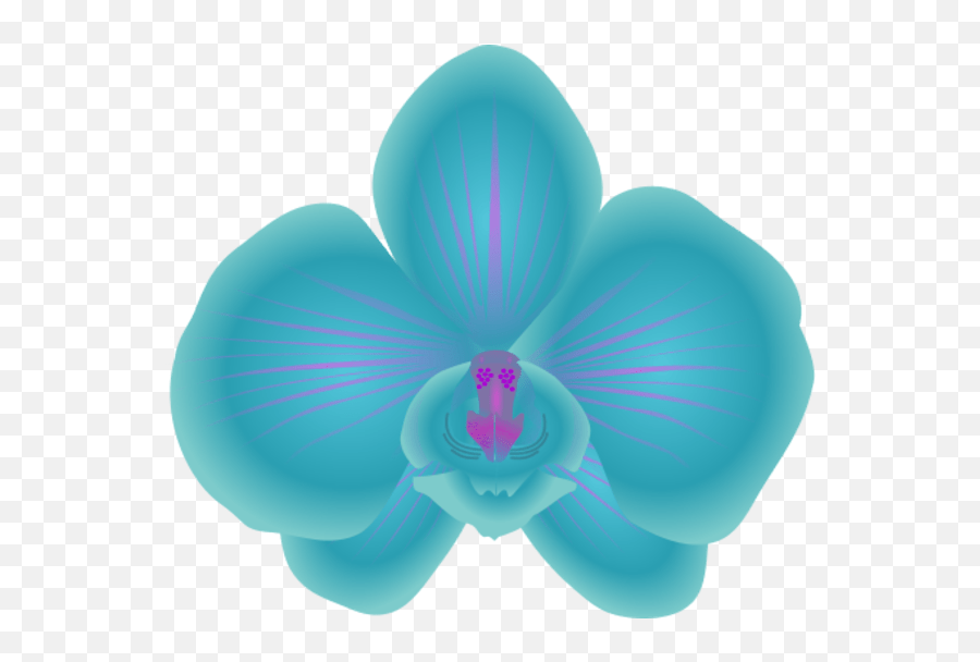 Orchid Clipart Cartoon Orchid Cartoon - Orchid Clipart Emoji,Orchid Emoji