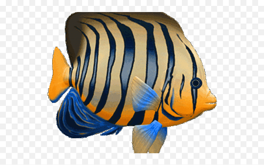 Tropical Fish Clipart 3d Fish - 3d Koi Fish Gif Emoji,Clown Fish Emoji
