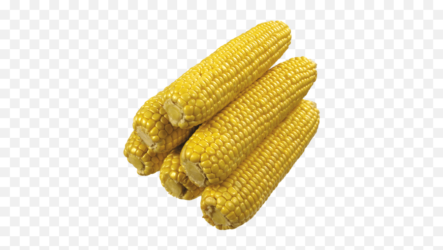 Corn Best Png - 22046 Transparentpng Maiz Png Emoji,Emoji Corn